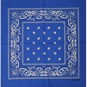 BA-Bl Bandana 