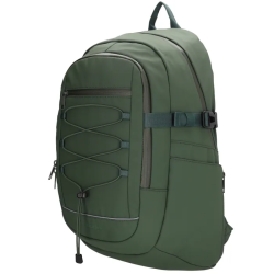 Beagles Asaka rygsk mrkegrn set fra siden